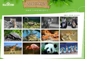 百度动物园上线，中国首个动物直播网络平台